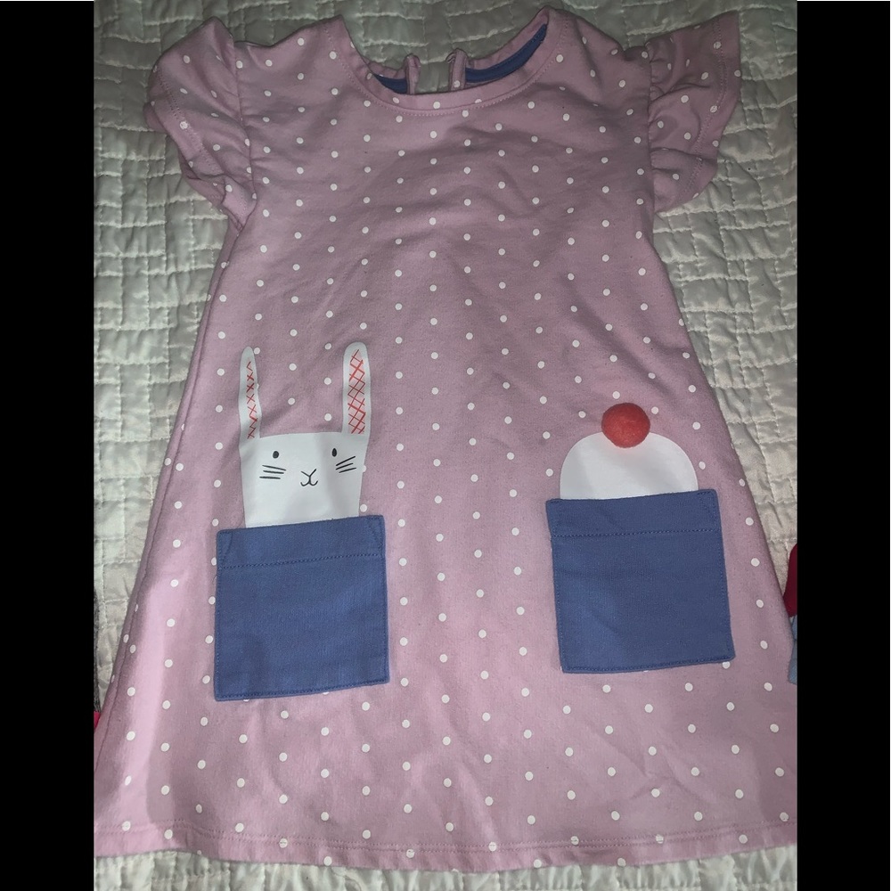 Cat and Jack bunny pocket dress